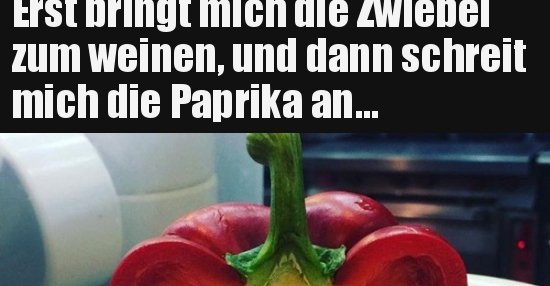 49+ Sprueche fuer schlechte menschen , Erst bringt mich die Zwiebel zum weinen, und dann.. Lustige Bilder, Sprüche, Witze, echt lustig