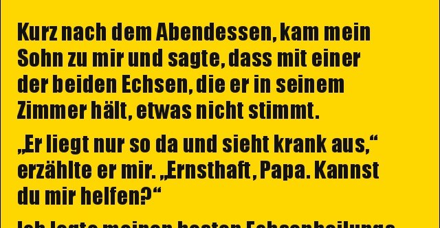 Kurz nach dem Abendessen, kam mein Sohn zu mir und sagte.. Lustige