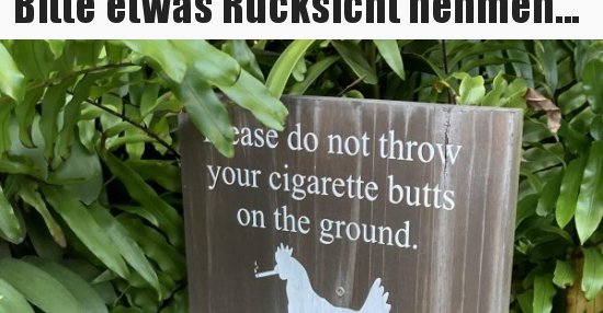 Auf Etwas Rücksicht Nehmen Englisch