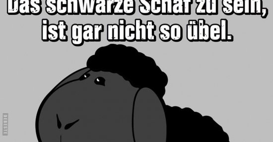 Bas schwarze Schaf zu sein, ist gar nicht so übel. Lustige Bilder