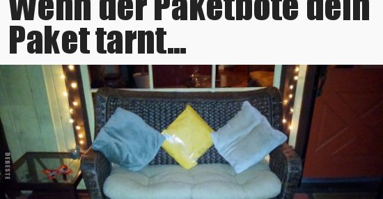 Wenn der Paketbote dein Paket tarnt Lustige  Bilder 