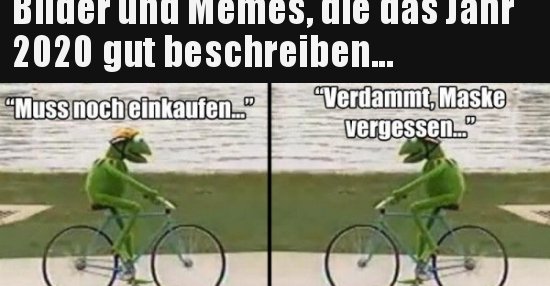 Bilder und Memes, die das Jahr 2020 gut beschreiben ...