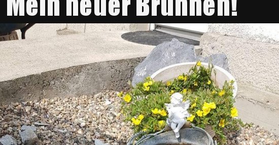 Mein neuer Brunnen!.. Lustige Bilder, Sprüche, Witze, echt lustig