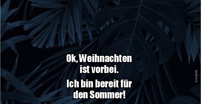 Ok, Weihnachten ist vorbei. Ich bin bereit für den.. Lustige Bilder