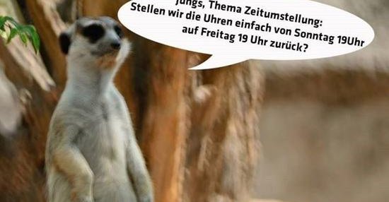 Jungs, Thema Zeitumstellung.. | Lustige Bilder, Sprüche, Witze, echt lustig