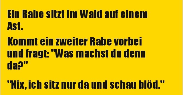 Ein Rabe sitzt im Wald auf einem Ast.. | Lustige Bilder, Sprüche, Witze ...