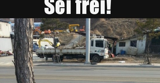 Sei frei!.. | Lustige Bilder, Sprüche, Witze, echt lustig