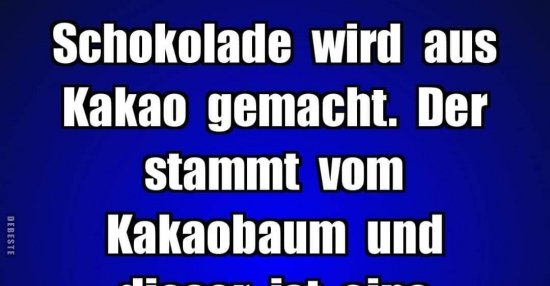 Schokolade wird aus Kakao gemacht. Der stammt vom.. Lustige Bilder