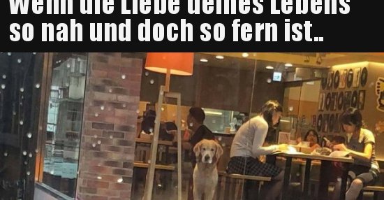 Wenn die Liebe deines Lebens so nah und doch so fern.. Lustige Bilder