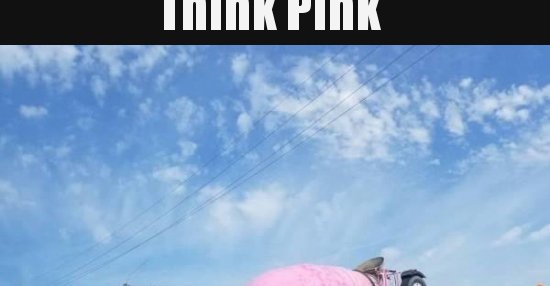 Think Pink.. | Lustige Bilder, Sprüche, Witze, echt lustig