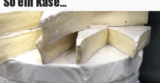 So ein Käse... | Lustige Bilder, Sprüche, Witze, echt lustig