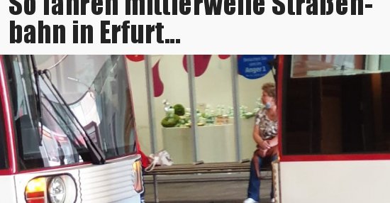 50++ 15 jahre zusammen sprueche , So fahren mittlerweile Straßenbahn in Erfurt... Lustige Bilder, Sprüche, Witze, echt lustig