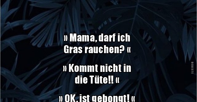 “Mama, darf ich Gras rauchen?” | Lustige Bilder, Sprüche, Witze, echt