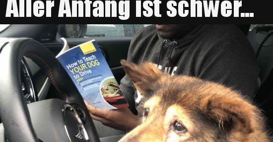 Aller Anfang ist schwer... Lustige Bilder, Sprüche, Witze, echt lustig