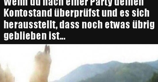 38++ Lustige sprueche nach party ideas