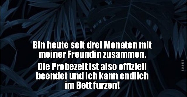 Bin heute seit drei Monaten mit meiner Freundin.. Lustige Bilder