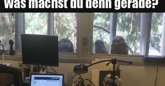 Lustige Bilder Was Machst Du Gerade