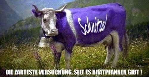 Get Sprueche versuchung Desktop Wallpaper Free Sprueche Versuchung