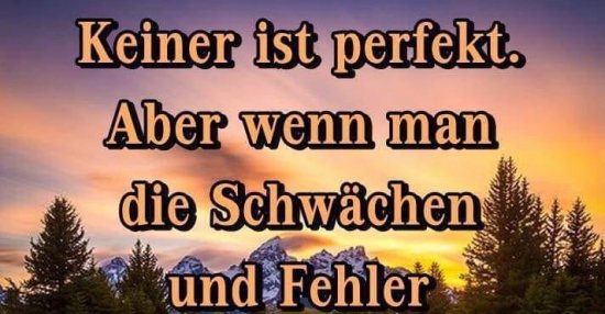 Keiner ist perfekt. Aber wenn man die Schwächen und Fehler.. Lustige