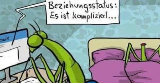 Beziehungsstatus Es ist kompliziert... Lustige Bilder, Sprüche
