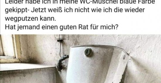 Leider habe ich in meine WC-Muschel blaue Farbe gekippt.. | Lustige