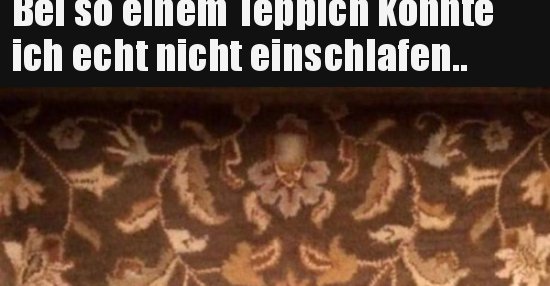 Bei so einem Teppich könnte ich echt nicht.. Lustige Bilder, Sprüche