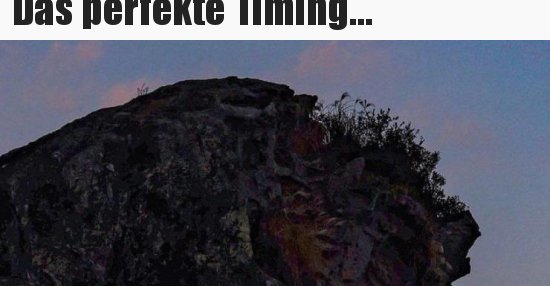 DAS PERFEKTE TIMING intelligence overview