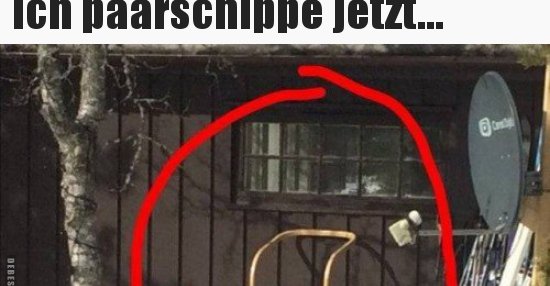 Paarschippe bilder lustige ich jetzt Ich parshipe