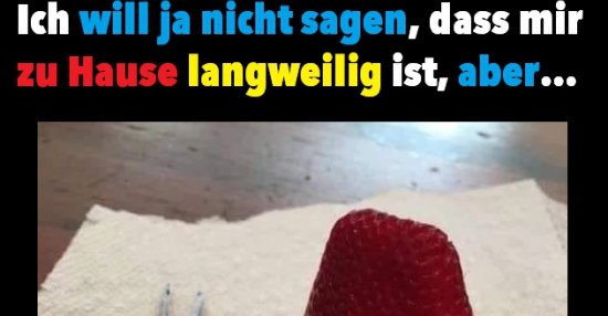 Ich will ja nicht sagen, dass mir zu Hause langweilig ist.. | Lustige