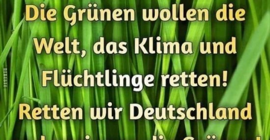 Die Grünen wollen die Welt, das Klima und Flüchtlinge.. Lustige