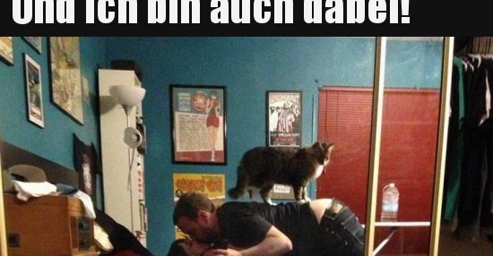 46++ Ich bin dabei lustige bilder , Und ich bin auch dabei!.. Lustige Bilder, Sprüche, Witze, echt lustig