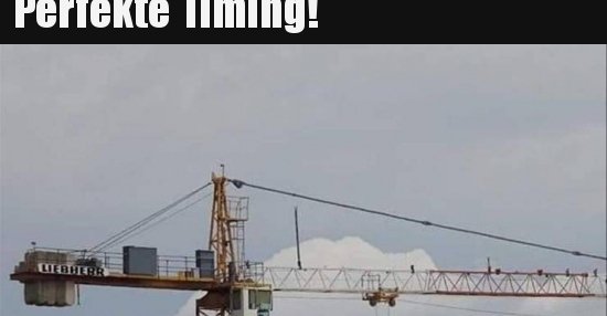 DAS PERFEKTE TIMING visual data 5