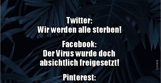 Twitter: Wir werden alle sterben! Facebook: Der Virus ...