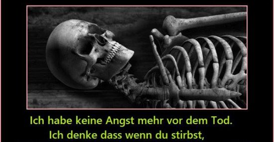 Ich habe keine Angst mehr vor dem Tod.. | Lustige Bilder, Sprüche