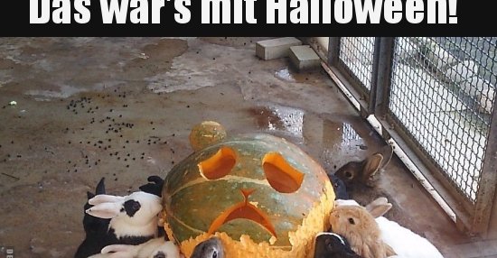 45+ Whatsapp halloween bilder lustig , Das war&#039;s mit Halloween!.. Lustige Bilder, Sprüche, Witze, echt lustig