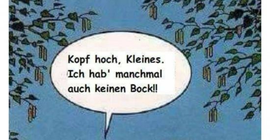 Kopf hoch, Kleines. Ich hab' manchmal auch keinen Bock!.. Lustige