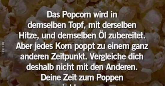 49++ Bla bla bla sprueche , Das Popcorn wird in demselben Topf, mit derselben Hitze.. Lustige Bilder, Sprüche, Witze, echt
