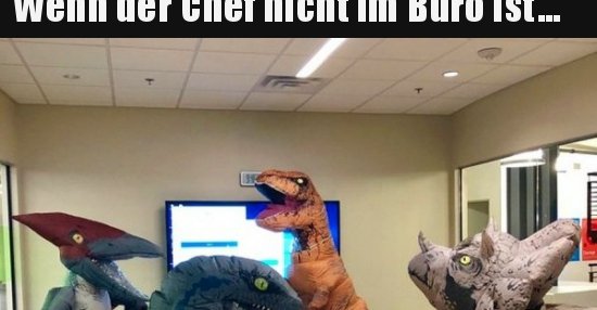 Wenn der Chef nicht im Büro ist... | Lustige Bilder, Sprüche, Witze