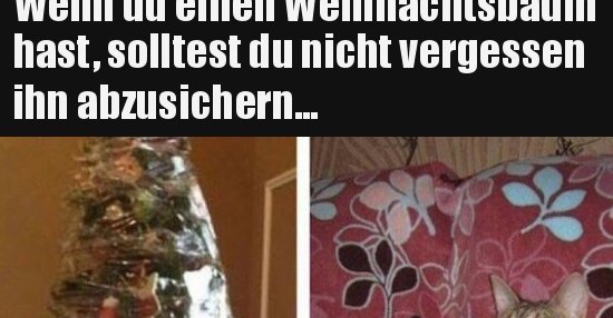 Wenn du einen Weihnachtsbaum hast, solltest du nicht.. | Lustige Bilder