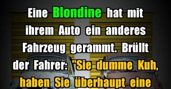 37+ Dumme sprueche bilder , Eine Blondine hat mit ihrem Auto ein anderes.. Lustige Bilder, Sprüche, Witze, echt lustig