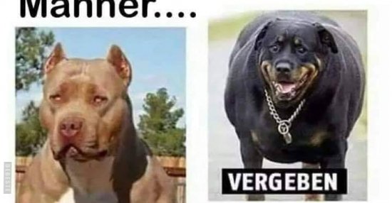 Männer... | Lustige Bilder, Sprüche, Witze, echt lustig