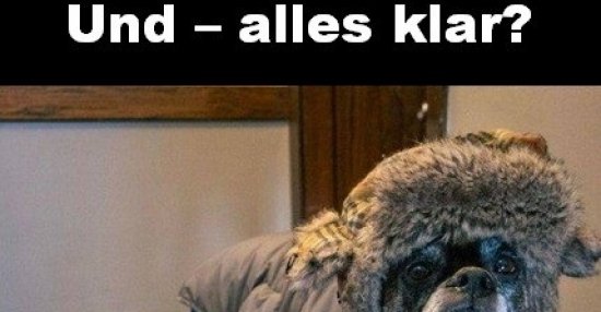 Und — alles klar? | Lustige Bilder, Sprüche, Witze, echt lustig