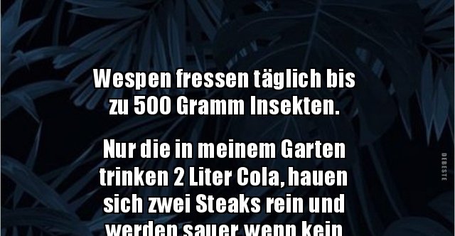 38+ Lustige sprueche ueber insekten ideas in 2021 