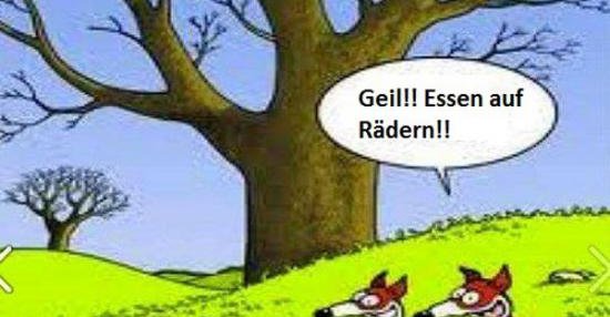 Essen auf Rädern! | Lustige Bilder, Sprüche, Witze, echt lustig