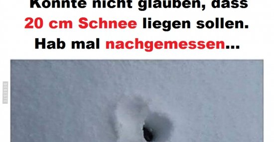 Konnte nicht glauben, dass 20 cm Schnee liegen sollen.. Lustige