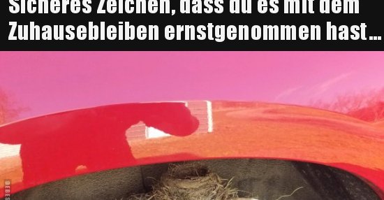Sicheres Zeichen, dass du es mit dem Zuhausebleiben.. | Lustige Bilder