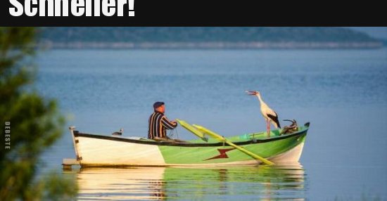 Schneller!.. - DEBESTE.de