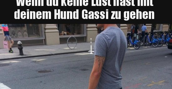 Wenn du keine Lust hast mit deinem Hund Gassi zu gehen