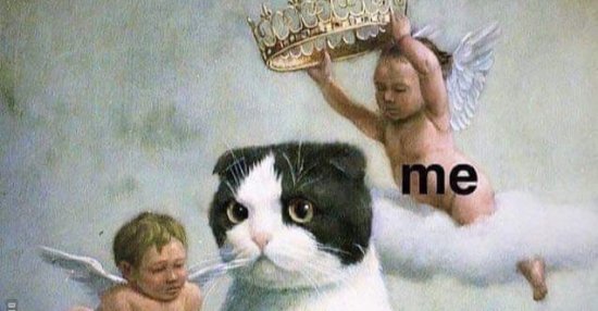 Ob ich meine Katze liebe? Lustige Bilder, Sprüche, Witze, echt lustig