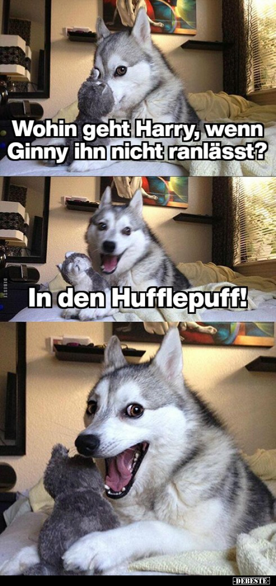 Wohin geht Harry, wenn Ginny ihn nicht ranlässt?.. - Lustige Bilder | DEBESTE.de